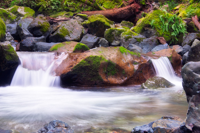 beautiful creek in Sonoma photo by Jeffrey S. Bartfeld
