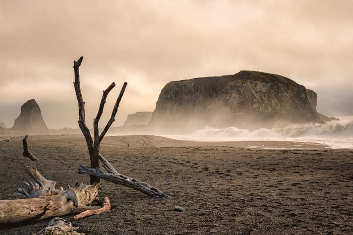 Goat Rock Beach, photo by Mark Zukowski